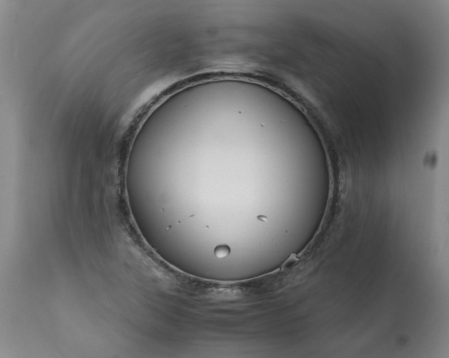 X0000113251315200909241601