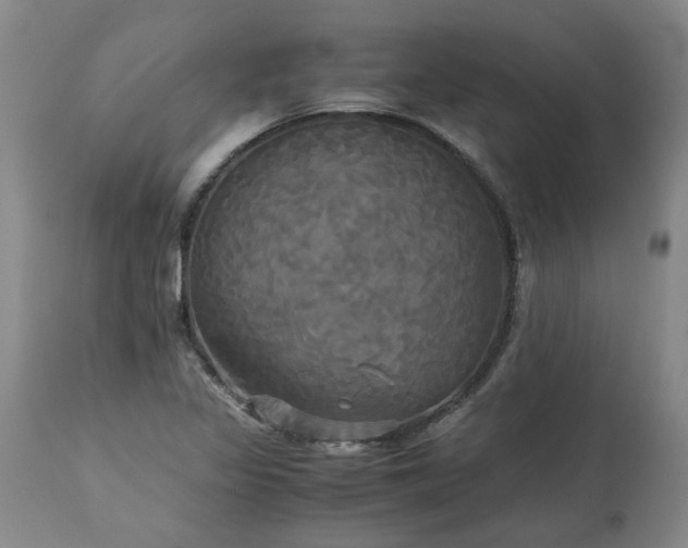 X0000113251317200909241601