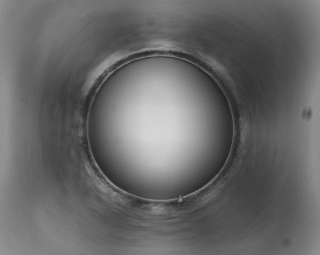 X0000113251318200909241601