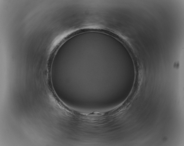 X0000113251319200909241601