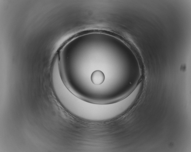 X0000113251320200909241601