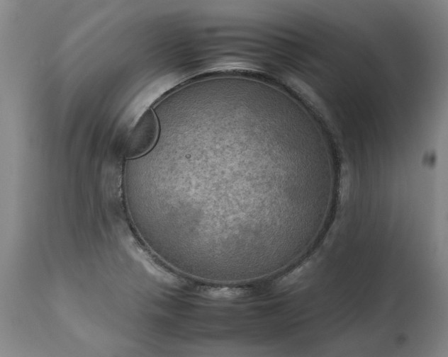 X0000113251321200909241601