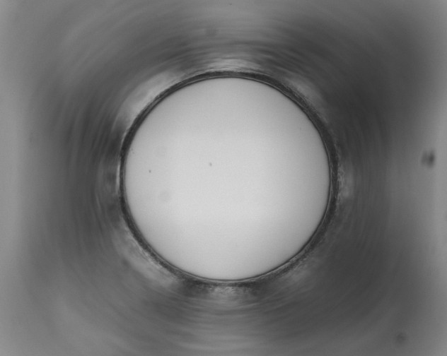 X0000113251322200909241601