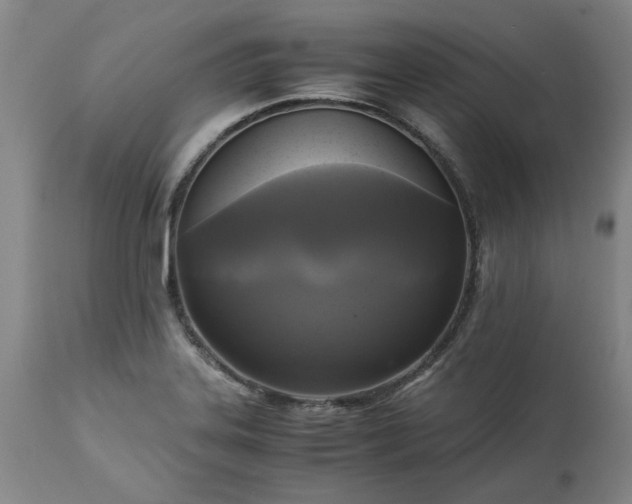 X0000113251323200909241601