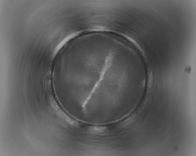 X0000113251325200909241601