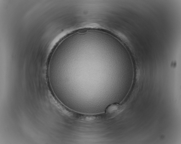 X0000113251326200909241601