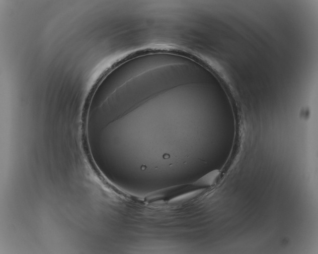 X0000113251327200909241601