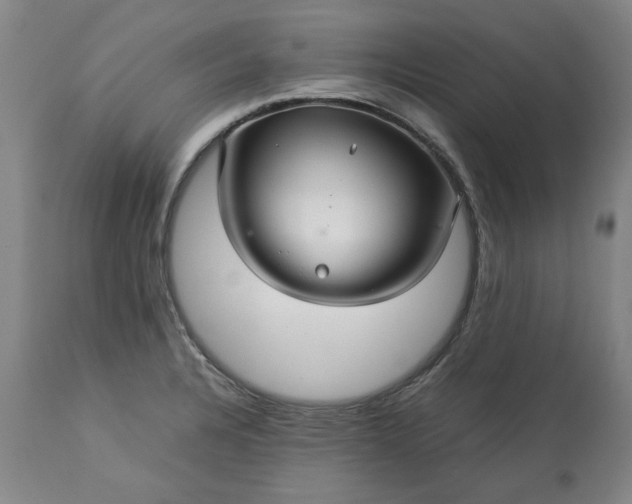 X0000113251328200909241601