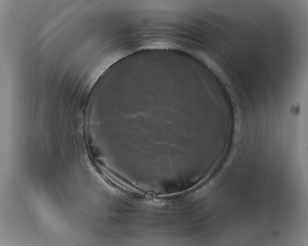 X0000113251329200909241601