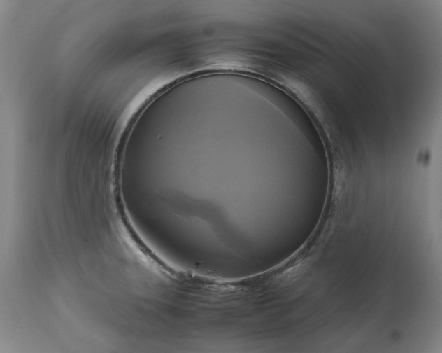 X0000113251331200909241601