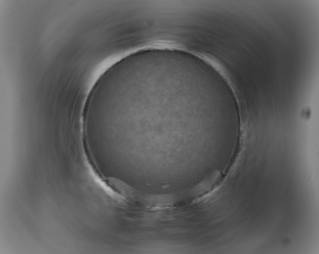 X0000113251335200909241602