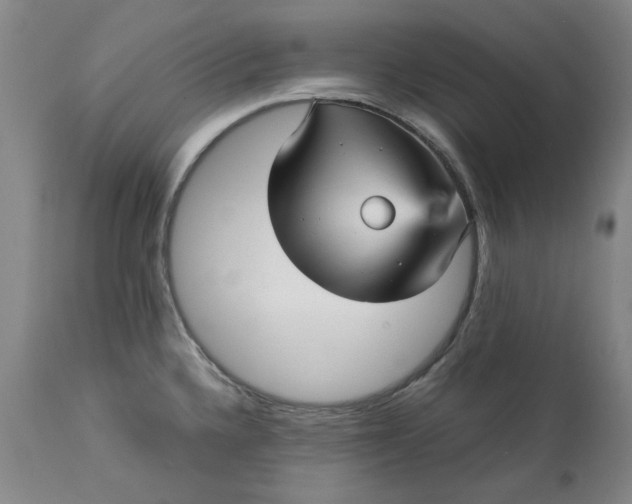 X0000113251336200909241602