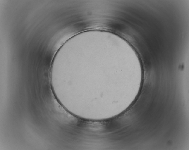 X0000113251338200909241602