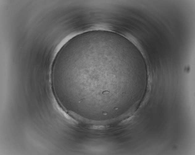 X0000113251339200909241602