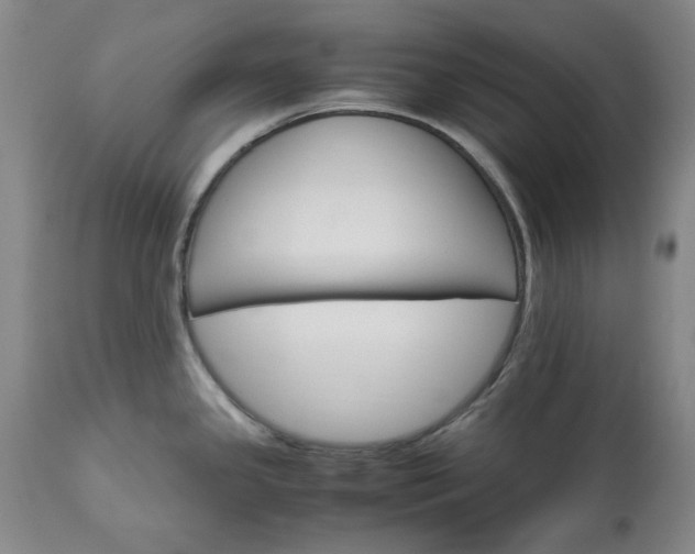 X0000113251341200909241602