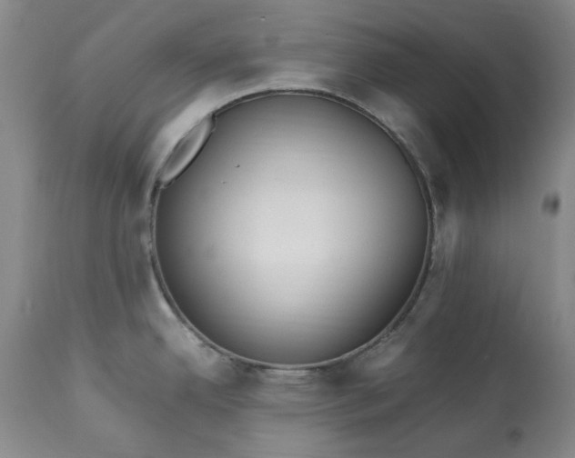 X0000113251342200909241602