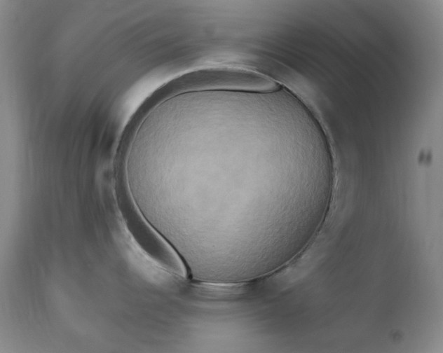 X0000113251344200909241602