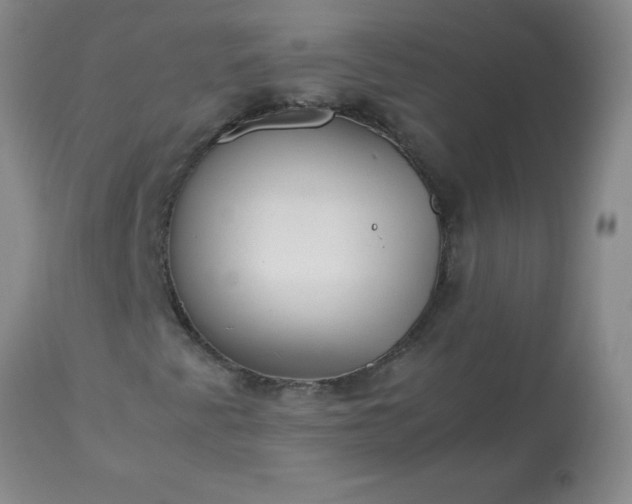 X0000113251345200909241601