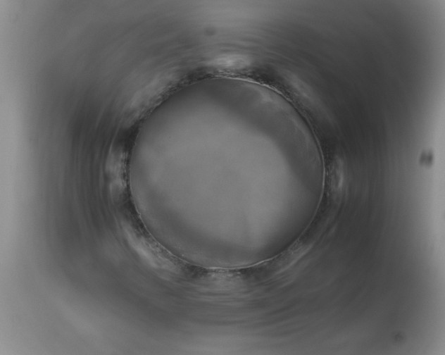 X0000113251346200909241601