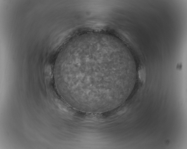 X0000113251347200909241601