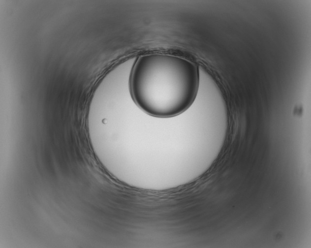 X0000113251348200909241601