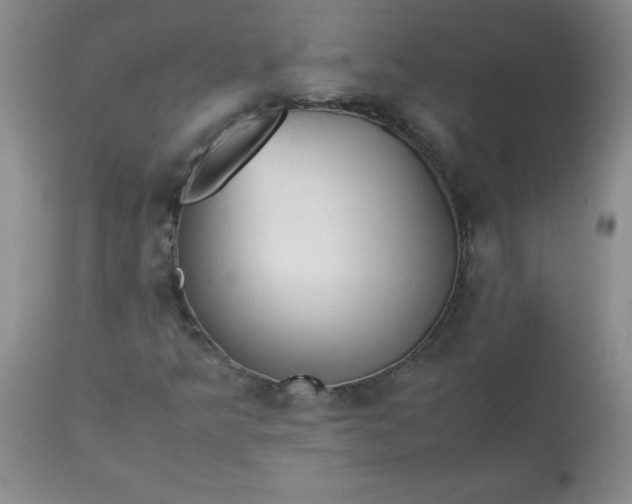 X0000113251349200909241601