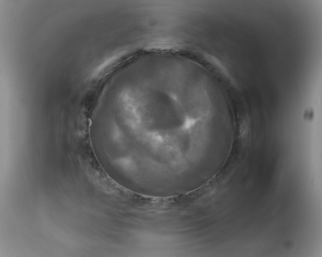 X0000113251350200909241601