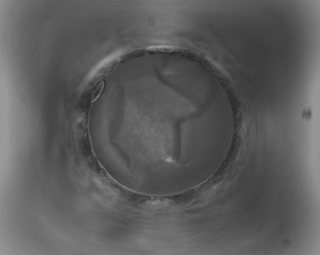 X0000113251351200909241601