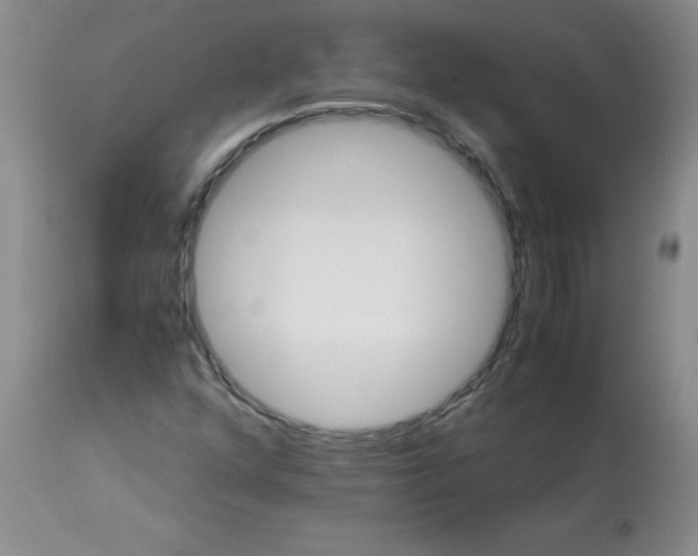 X0000113251352200909241601