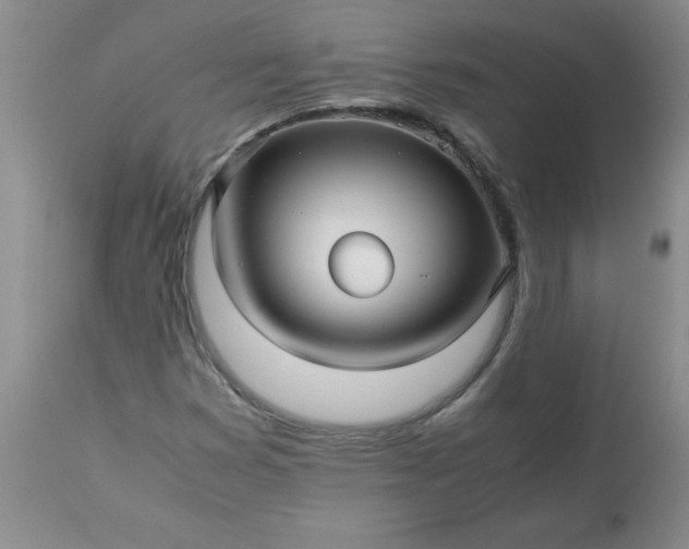 X0000113251353200909241601