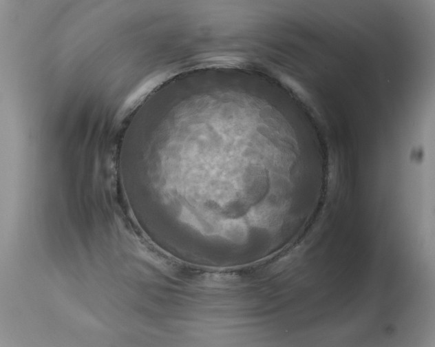 X0000113251354200909241601