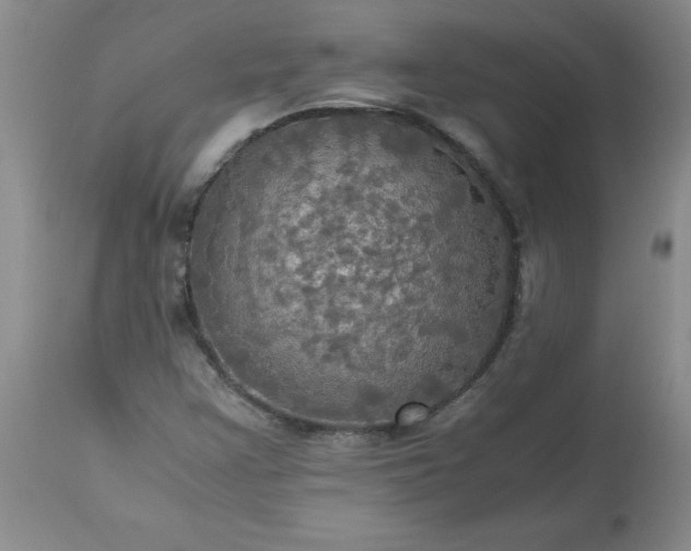 X0000113251355200909241601