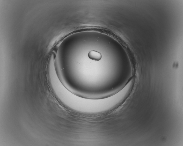 X0000113251357200909241601