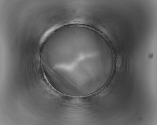 X0000113251358200909241601