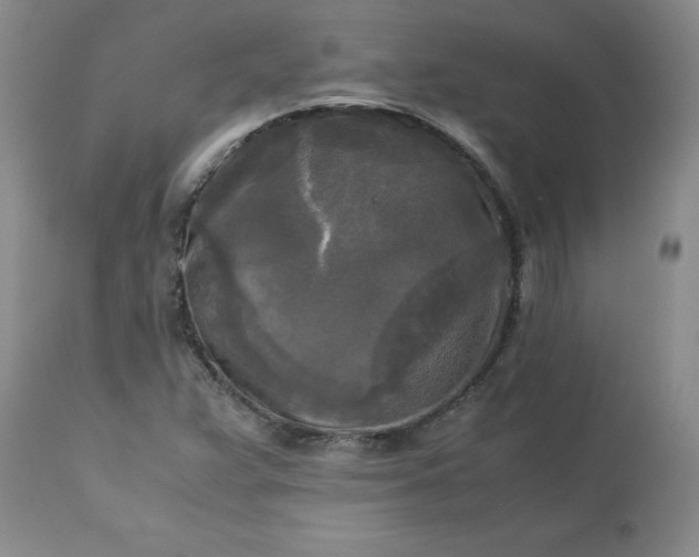 X0000113251359200909241601