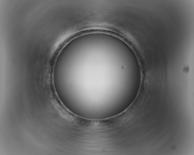 X0000113251360200909241601