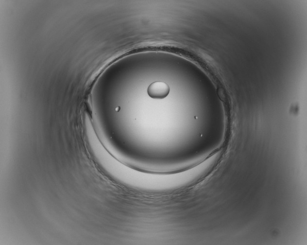 X0000113251361200909241601