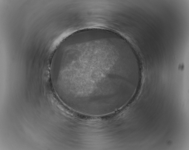 X0000113251363200909241601