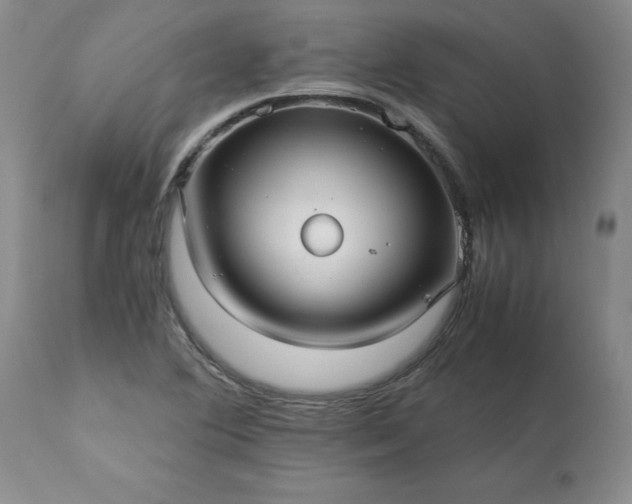 X0000113251364200909241601