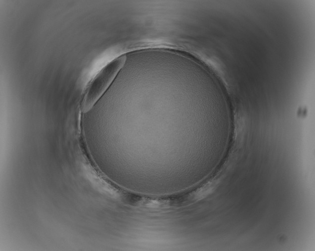 X0000113251365200909241601