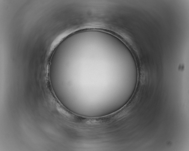 X0000113251366200909241601