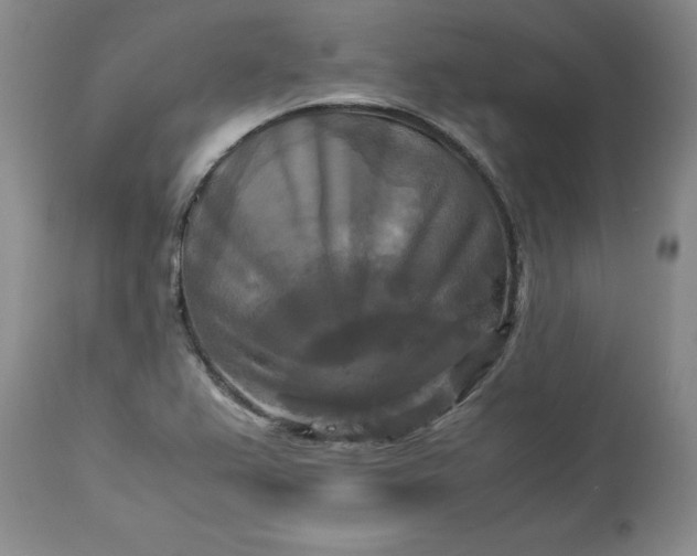 X0000113251367200909241601