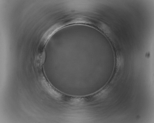 X0000113251369200909241601