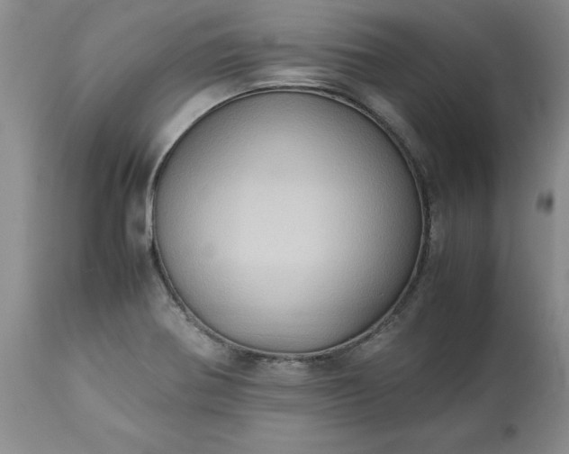 X0000113251370200909241601