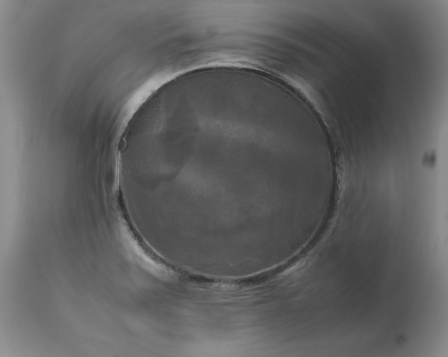 X0000113251371200909241601