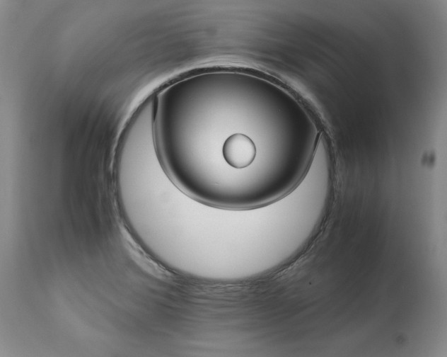 X0000113251372200909241601