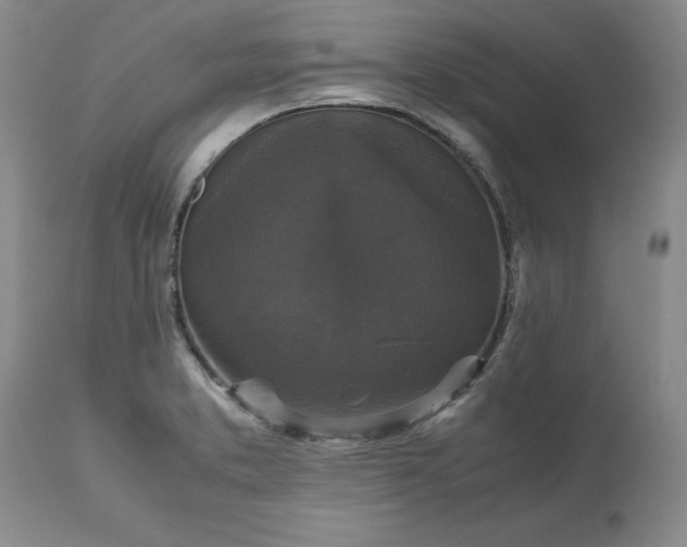 X0000113251373200909241601