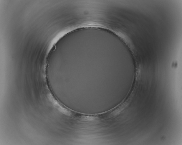 X0000113251374200909241601