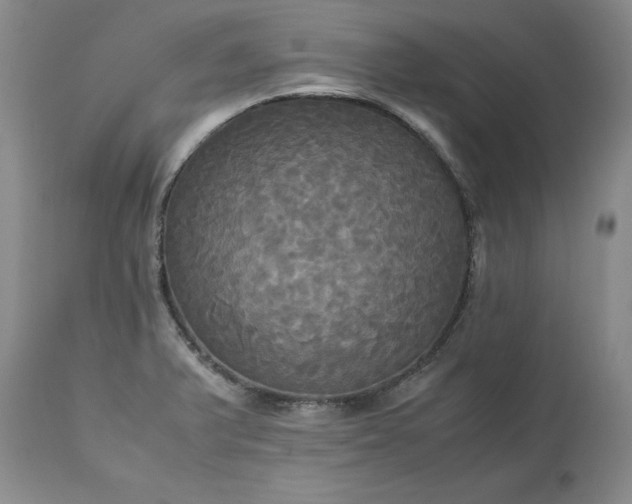 X0000113251375200909241601