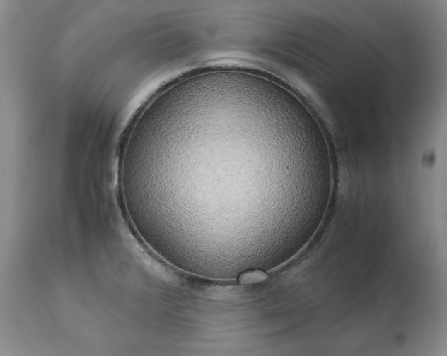 X0000113251376200909241601